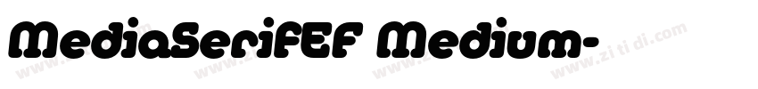 MediaSerifEF Medium字体转换